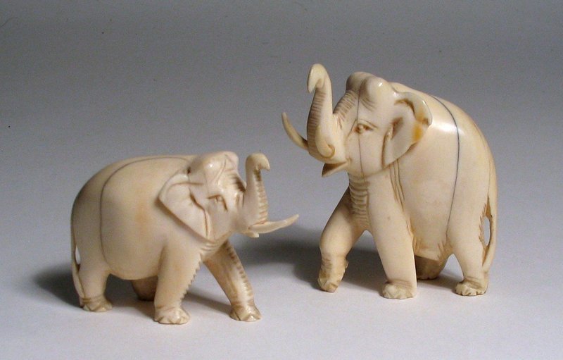 Pair<br /><br />
DESCRIPTION:  A nice little pair of ivory elephants, both with raised trunks and lumbering gate.  Nice patina with age lines but no cracks.  These date from the Republic Period, 1911 - 1949; good condition.  DIMENSIONS:  Largest 2 ¼” wide (5.5 cm) x 2 3/8 “ high (3 cm).  
<p>NOTE:  Ancient East specializes in pre-1945 Asian art and antiques (generally corresponding to the end of WWII, the Republic of China period, and Japan's Showa Period). Carved works of art are composed of various materials, some including elephant ivory or other endangered species.  We support the goal of eliminating the on-going criminal poaching of endangered animals.  Because we support conservation efforts of live populations, we only feature works of art crafted from these species that are genuine antiques.  However, we believe these antique works of art should also be preserved and have much to offer on behalf of artistic, historical and cultural appreciation.  We also believe the sale, collecting and exchanging of these antique items presents no danger to current populations.  Prospective purchasers are advised that a number of countries prohibit the importation of property containing endangered species products. We at Ancient East follow all current laws relevant to their sale, import and export.  <div id='rater_target1287732'></div>
