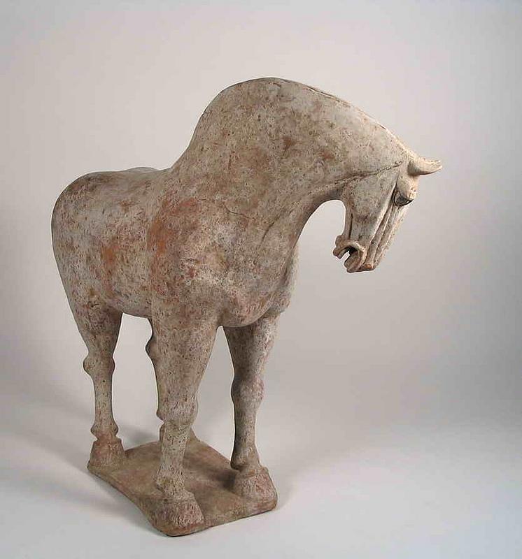 Sold and Shipped to Singapore, Thanks<br /><br />
DESCRIPTION:  Originating from the Fongxian area of Shangxi Province is this magnificent and rare Tang Dynasty (618-906 A.D.) pottery horse.  This dynamic unglazed horse has its powerful neck gracefully turned with head lowered, ears pricked and teeth bared.  Its head shows fine detailing, and the thick, muscular torso of this proud beast is supported by legs standing four-square on a plinth.  The whole results in a very dynamic sculptural form.  Real horse hair would have been inserted into the open ridge running the length of the neck and the hole in the rump to form the mane and tail -- long ago degraded during the burial process.  Fongxian pottery horses are noted for their powerful builds and muscular bodies, much like today’s draft horses, and are of a quality rarely achieved at other centers in China during the Tang period.  This horse makes a superb companion with our other Tang Fongxian horse, stock #PTA32, shown together in the last photo and most likely originating from the same tomb.  In very good condition with no visible repairs, although possible repairs cannot be ruled out as is common with ancient tomb figures.  Authenticity guaranteed.  DIMENSIONS:  14 ½” high x 15 ½” long.<div id='rater_target399564'></div>

